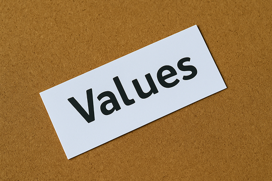 NUESTROS VALORES